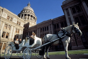 Austin Horse And Carriage