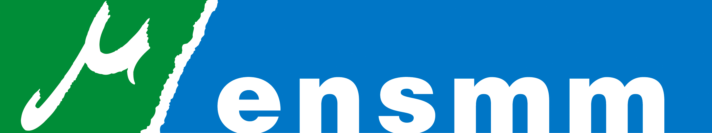 logo_ensmm